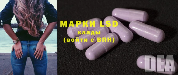 ешки Богданович