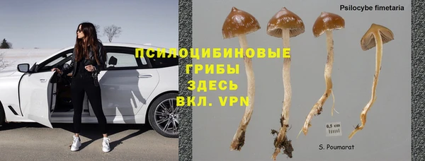 ешки Богданович