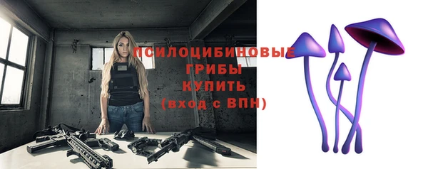 ешки Богданович
