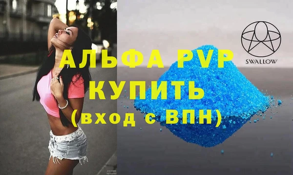 ешки Богданович