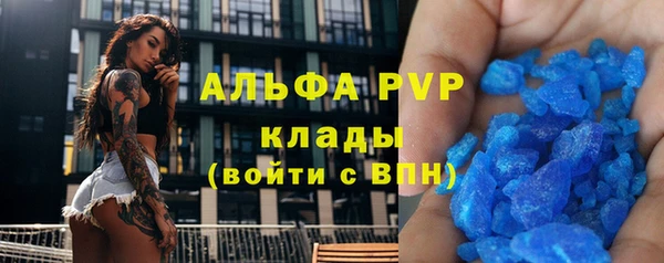 ешки Богданович